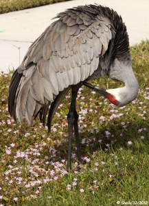 "I wonder what's under here"