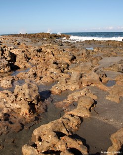 Coral Cove's natural limestone
