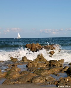 Beautiful day for sailing