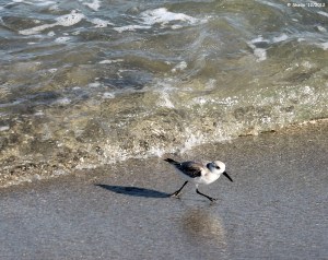 I'am running as fast as I can