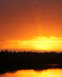 Expression of a Sunset