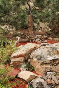 ~ A Slice of my Hill ~