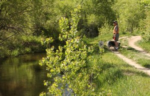 ~  Enjoying the Shade ~ While I take just a few more photos.