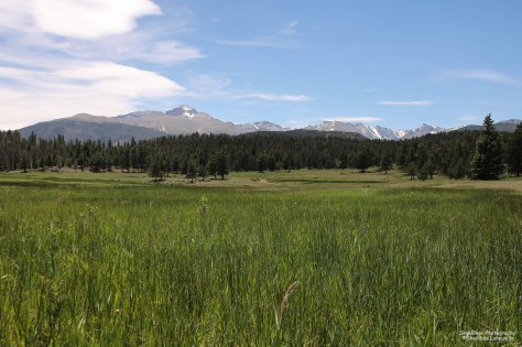 Summer in beautiful Rocky Mountain National Park