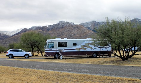 Catalina State Park - Oro Valley, AZ