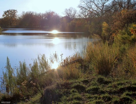 Sunset Colors ~On the South Llano River~ [this photo taken in November, 2011 