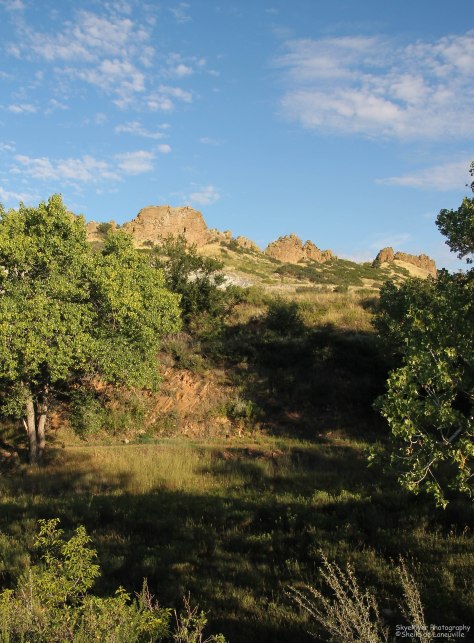 You can just make one of the hiking trails