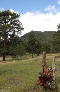 Another Hiking Path (dark clouds are to the left of this image)
