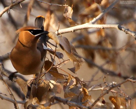 March, still looks like winter.