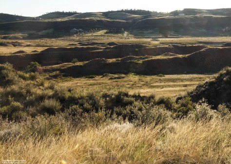 Early Morning Sunlight 