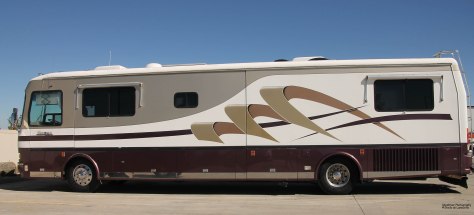 The "needs a bath" Rambling Rose