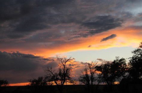 Last nights setting sun