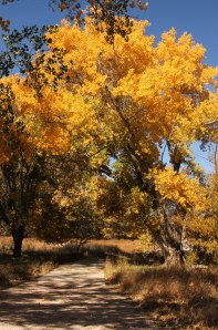 Lake Rita Blanca trail