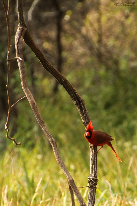 "Are you still there?"