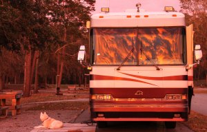 Rambling Rose as she paints a portrait on her windshield.