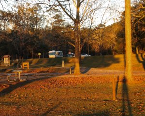 Up the hill and bathed in sunlight - The Rambling Rose