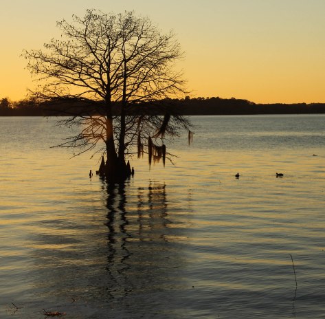 Early Sunset on Lake Sminole