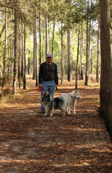 Miles of Hiking Trails