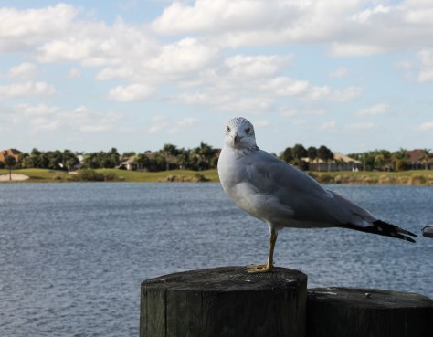 "Come closer and let me tell you a secret"