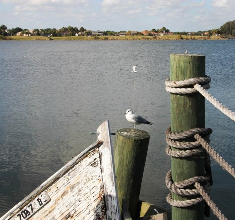 Lake Sumter The Villages