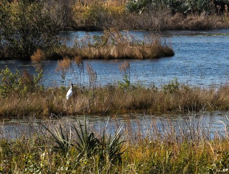 What did I just catch?