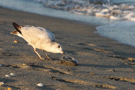 "Don't you touch my fish head"