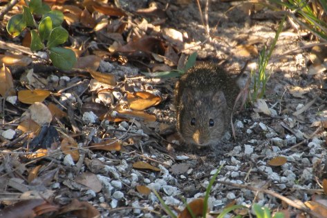 A face only a mother could love!