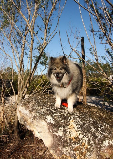 "I made my Mom laugh today and I even tickled myself."