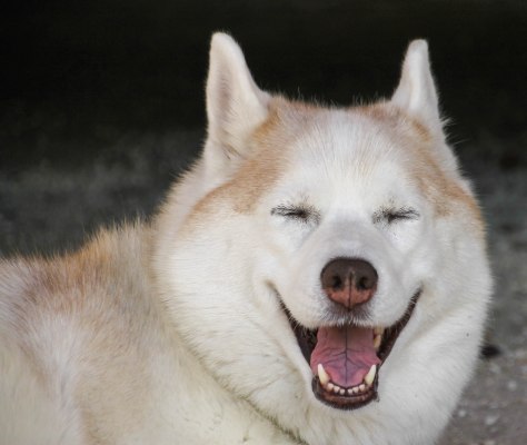 "I really like Silver River State Park"