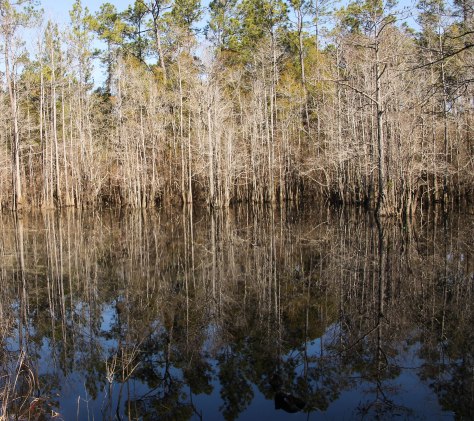 Reflections - 2 of 4