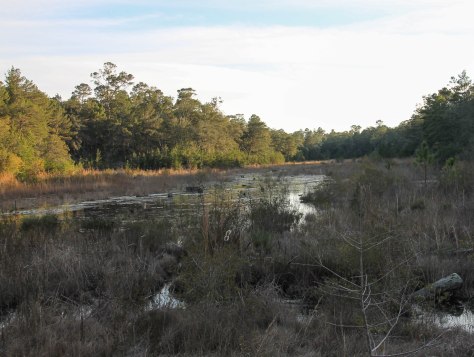 This is what the stream currently looks like