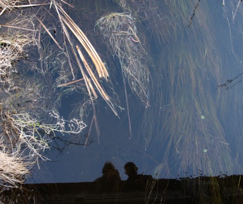Sheila and Howard being goofy. Standing on the bridge crossing the stream. Looking straight down into the water.