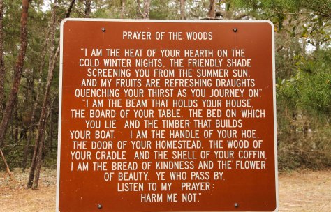 Prayer of the Woods