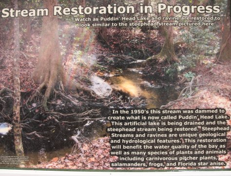 Stream Restoration A habitat once destroyed is coming back to life!