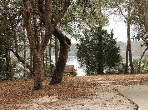 Our front yard for a few days!