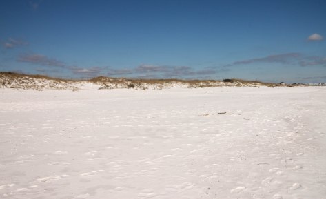 Pristine sand