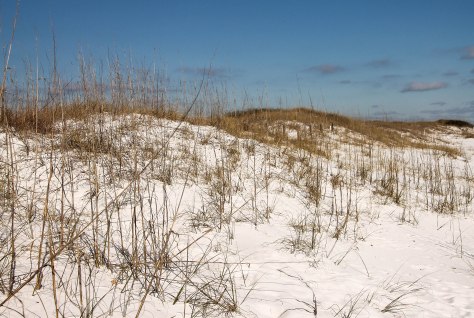 Sand Dunes