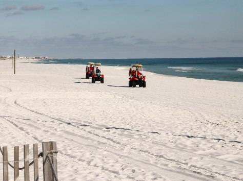Here come the Lifeguards! 
