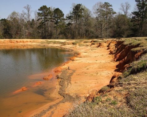 Red Missippippi Mud -back pond