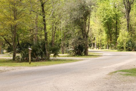 A part of the campground