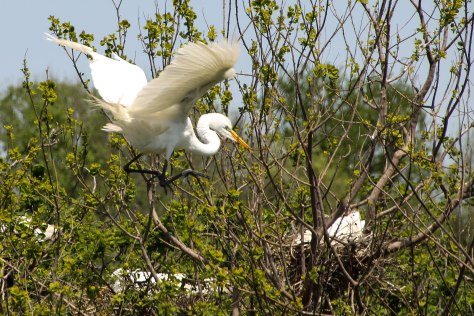 "Iam coming sweetie"