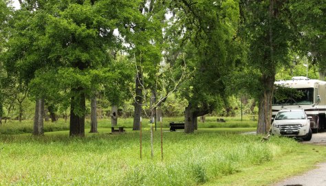 Stephen F. Austin State Park