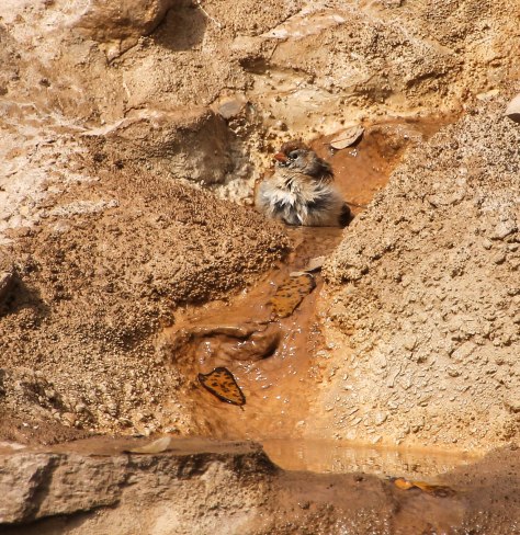 "Wow, my own private water slide!"