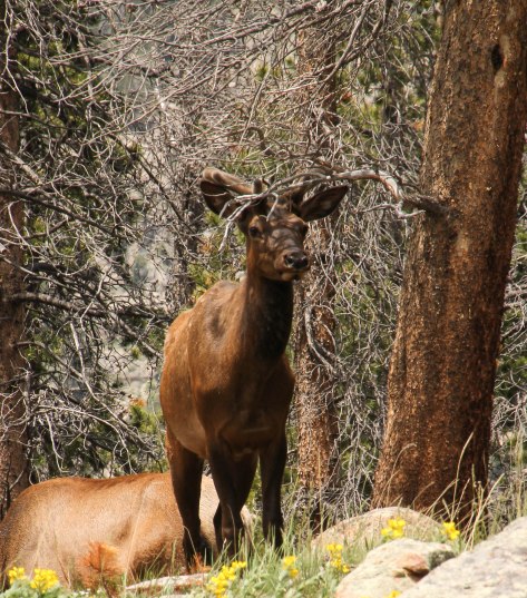 "Here I come, ready or not." 