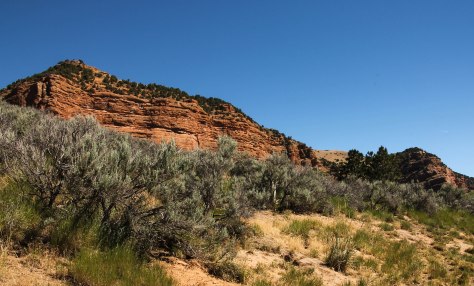 A most beautiful Rest Area off of I-84