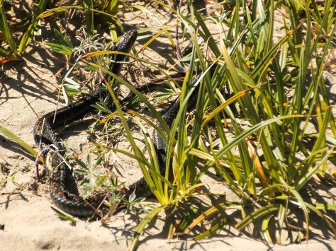 At least it was colorful!