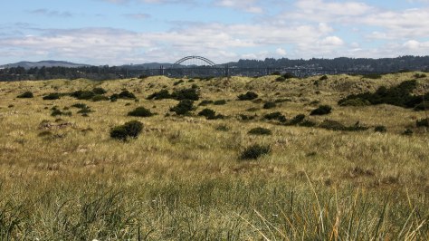 A different view of the Yaquinta Bay Bridge