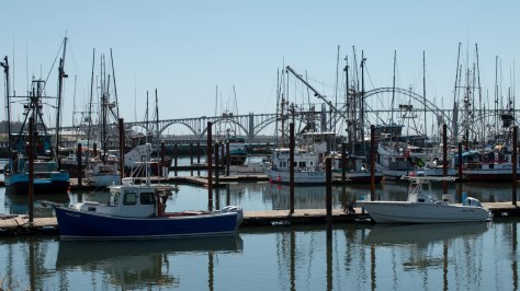 On the Bay in Newport, Oregon