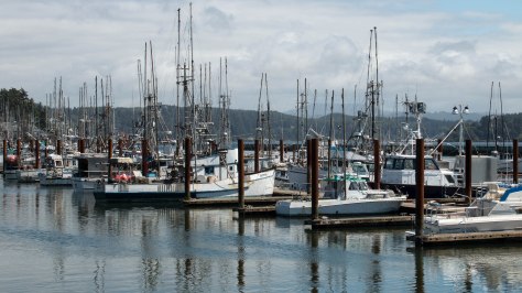 Bayfront, Newport, Oregon