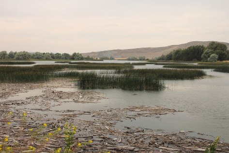 Pablo National Wildlife Refuge